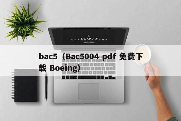 bac5（Bac5004 pdf 免费下载 Boeing）